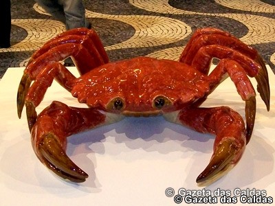 notícias das Caldas