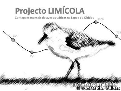 notícias das Caldas