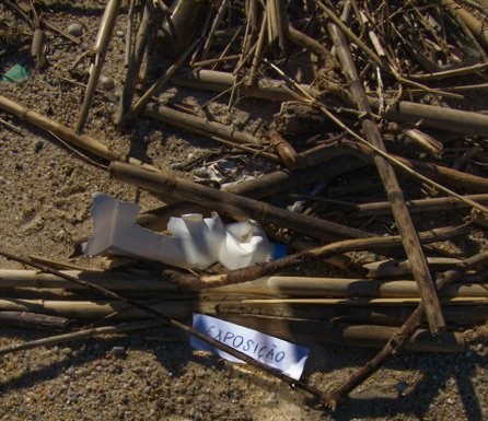 notícias das Caldas