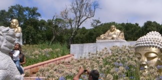 notícias das Caldas