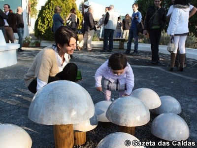 notícias das Caldas