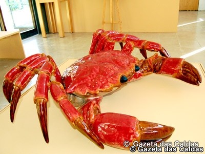 notícias das Caldas