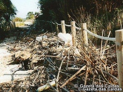 notícias das Caldas