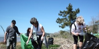 notícias das Caldas