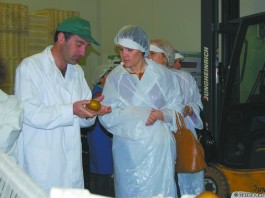 notícias das Caldas