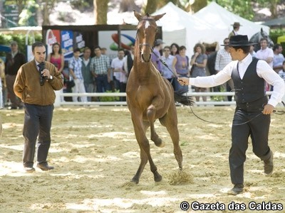 notícias das Caldas