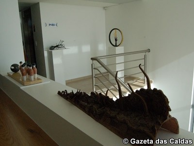 notícias das Caldas