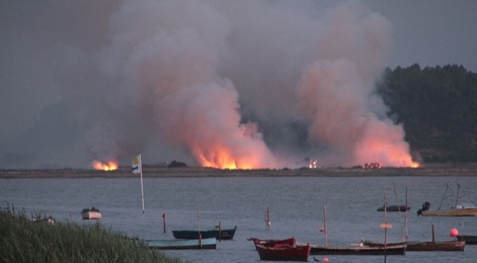 notícias das Caldas