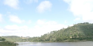 notícias das Caldas