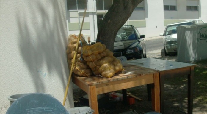 notícias das Caldas