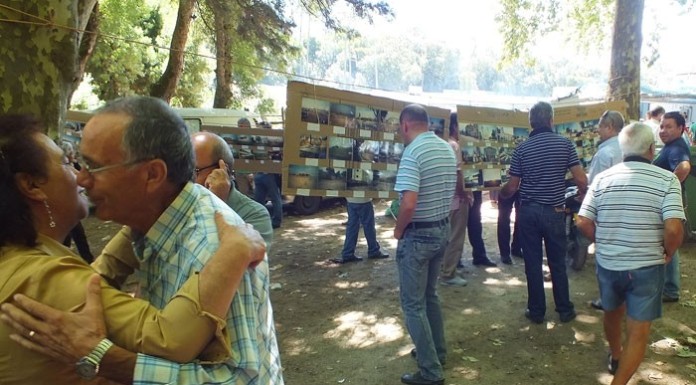 notícias das Caldas