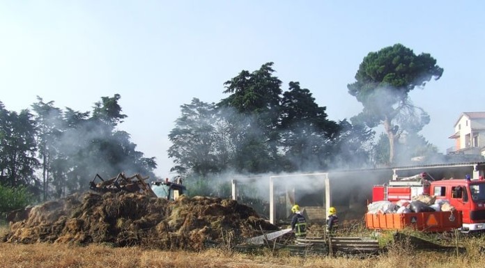 notícias das Caldas