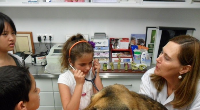 notícias das Caldas