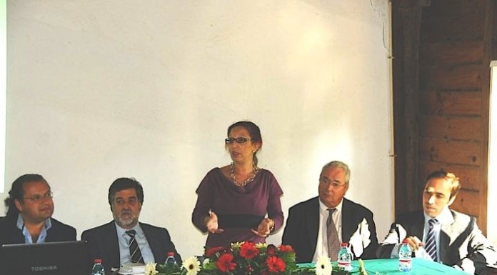 notícias das Caldas