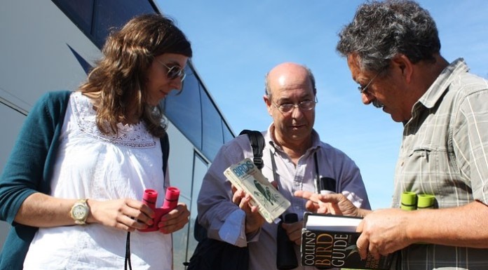 notícias das Caldas