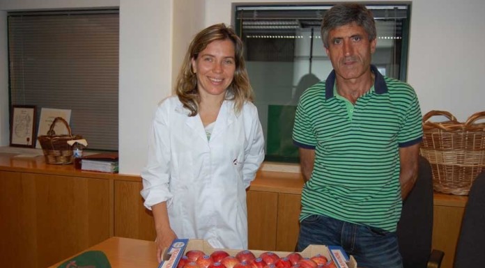 notícias das Caldas