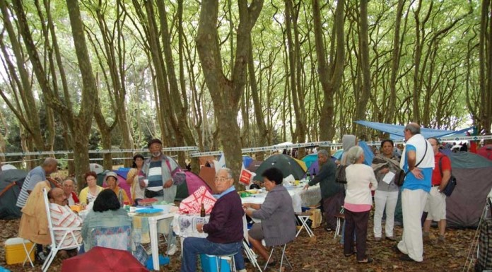 notícias das Caldas