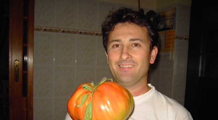 notícias das Caldas