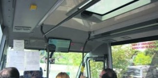 notícias das Caldas