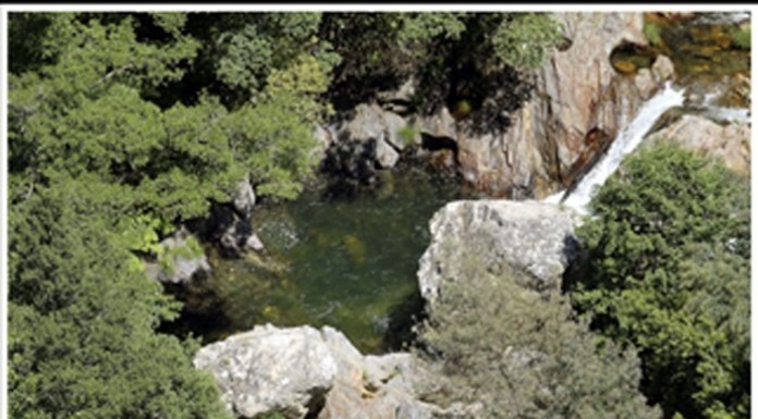 notícias das Caldas