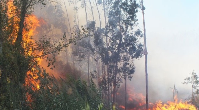 notícias das Caldas