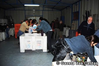 notícias das Caldas