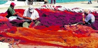 notícias das Caldas