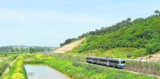 notícias das Caldas