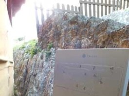 notícias das Caldas