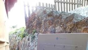 notícias das Caldas