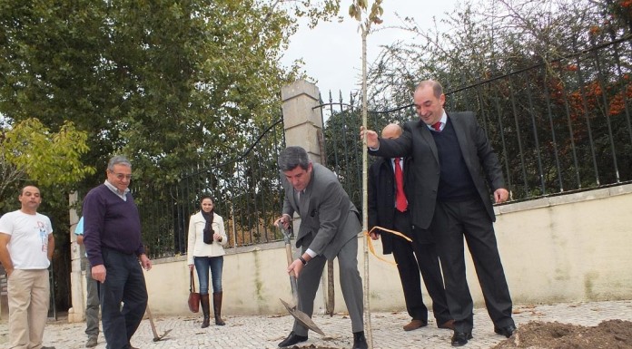 notícias das Caldas