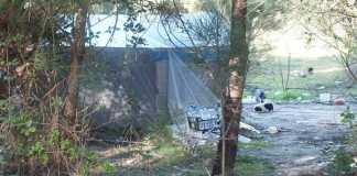 notícias das Caldas