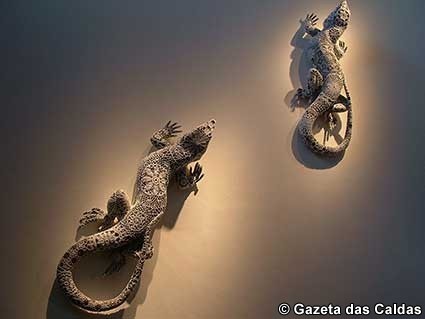 Notícias das Caldas