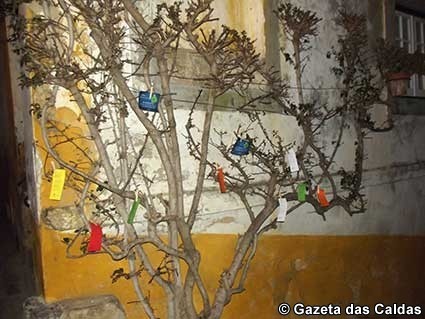 Notícias das Caldas