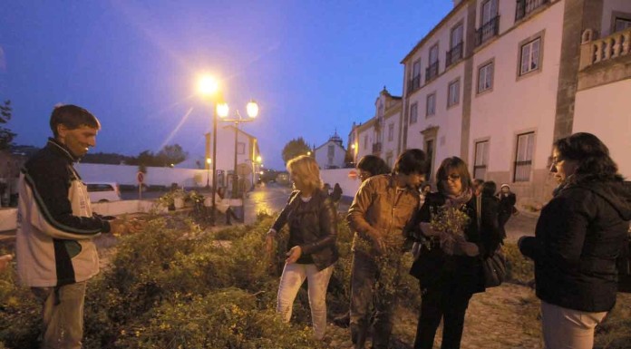 Notícias das Caldas