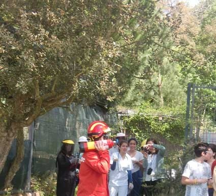 Notícias das Caldas