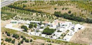 Notícias das Caldas