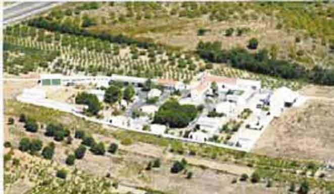 Notícias das Caldas