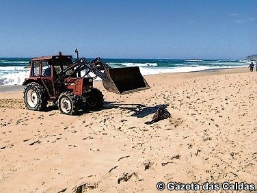 Notícias das Caldas