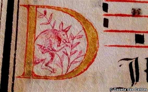 O que tem as Caldas da Rainha a ver com a descoberta da Austrália?