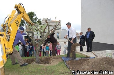 Câmara das Caldas ofereceu 400 árvores no Dia da Floresta
