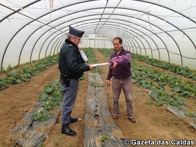 GNR ajuda agricultores a protegerem-se contra roubos
