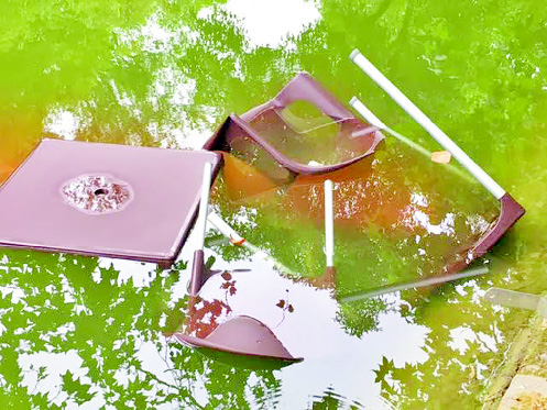 Vandalismo no Parque D. Carlos I