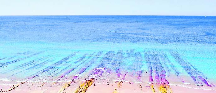 Autarcas do Oeste rumam para as águas mais quentes no sul nas férias de Verão