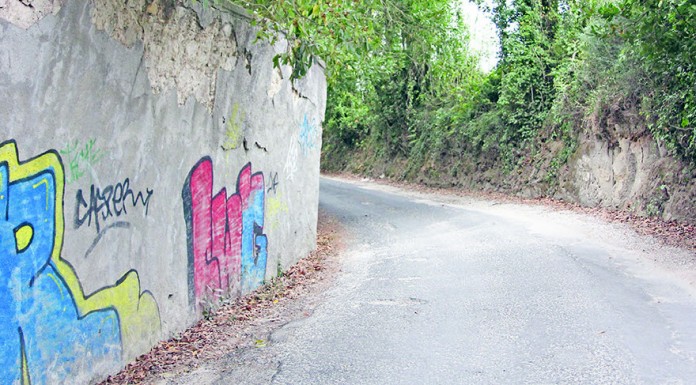 arranjo do muro da mata