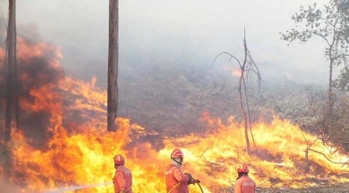 incêndios de Verão