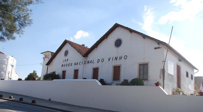 Museu do Vinho