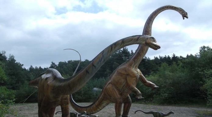 Dinossauros