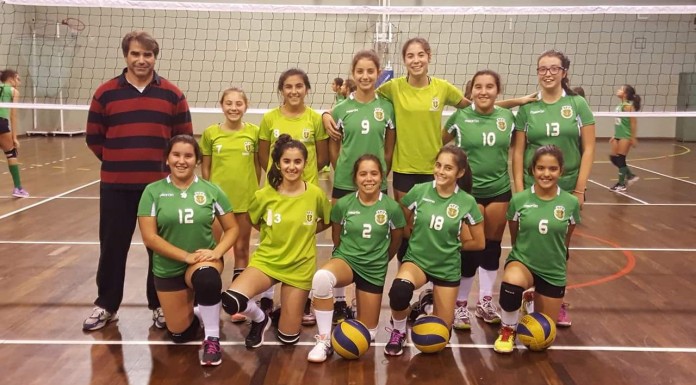 voleibol