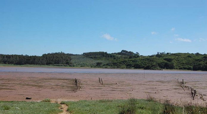 Lagoa de Óbidos